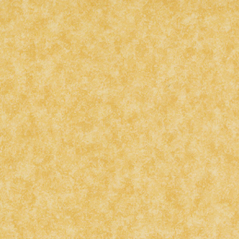 Revêtement de sol hétérogène flexible et soigné