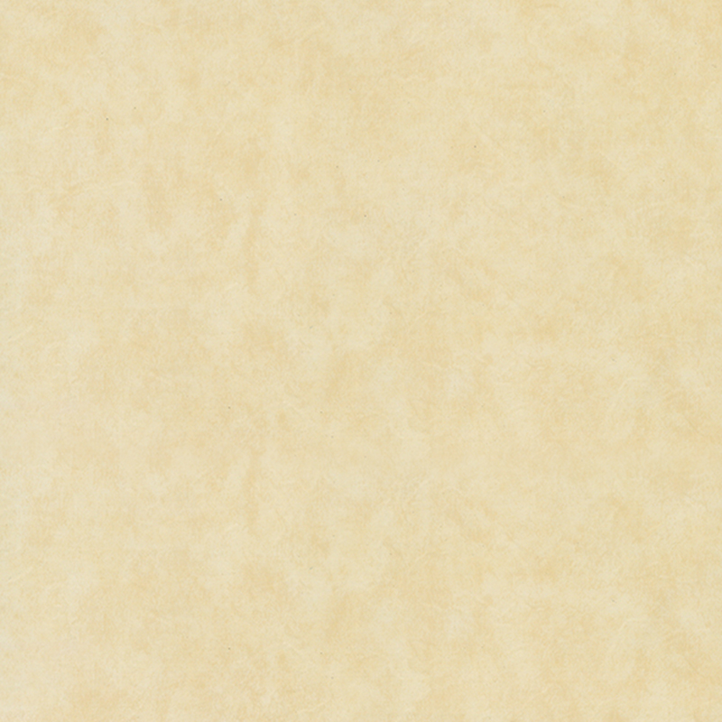 Revêtement de sol hétérogène écologique et résistant à l'usure