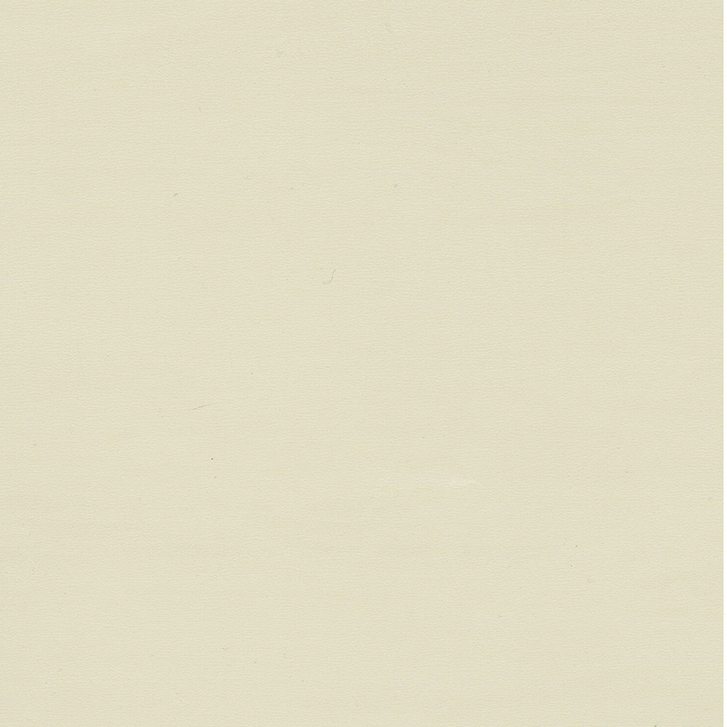 Revêtement de sol homogène de haute qualité et de couleur unique