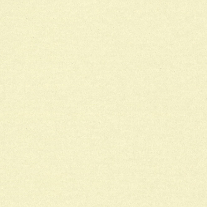 Revêtement de sol homogène de haute qualité et de couleur unique