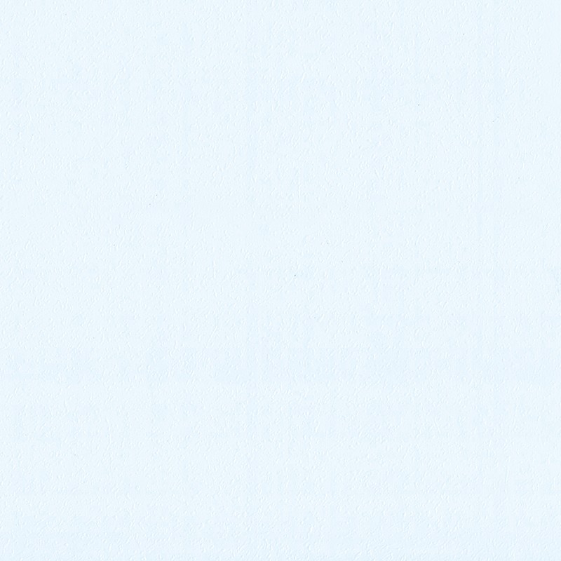 Bardage décoratif en PVC de beauté naturelle pour murs intérieurs