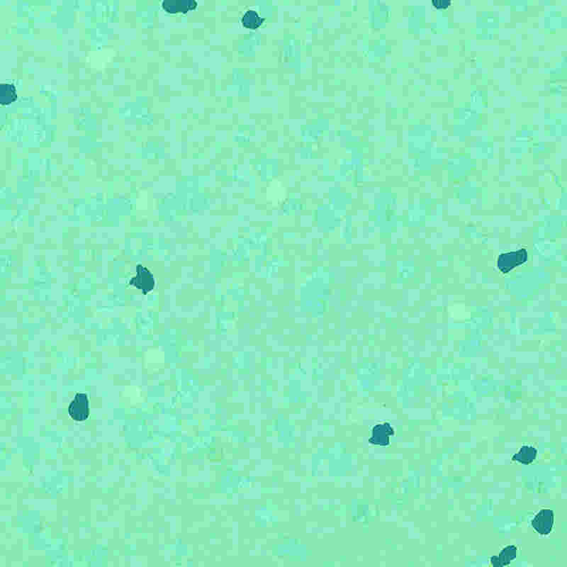 Revêtement de sol en caoutchouc résistant aux rayures et à haute élasticité