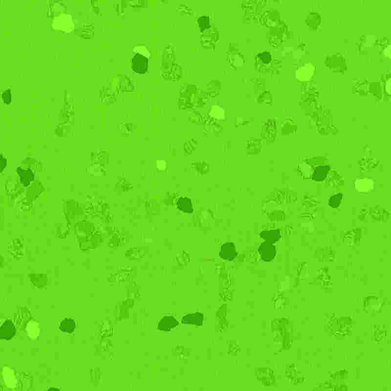 Revêtement de sol en caoutchouc résistant aux rayures et à haute élasticité