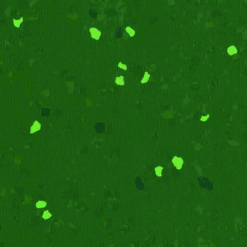 Revêtement de sol en caoutchouc résistant aux rayures et à haute élasticité