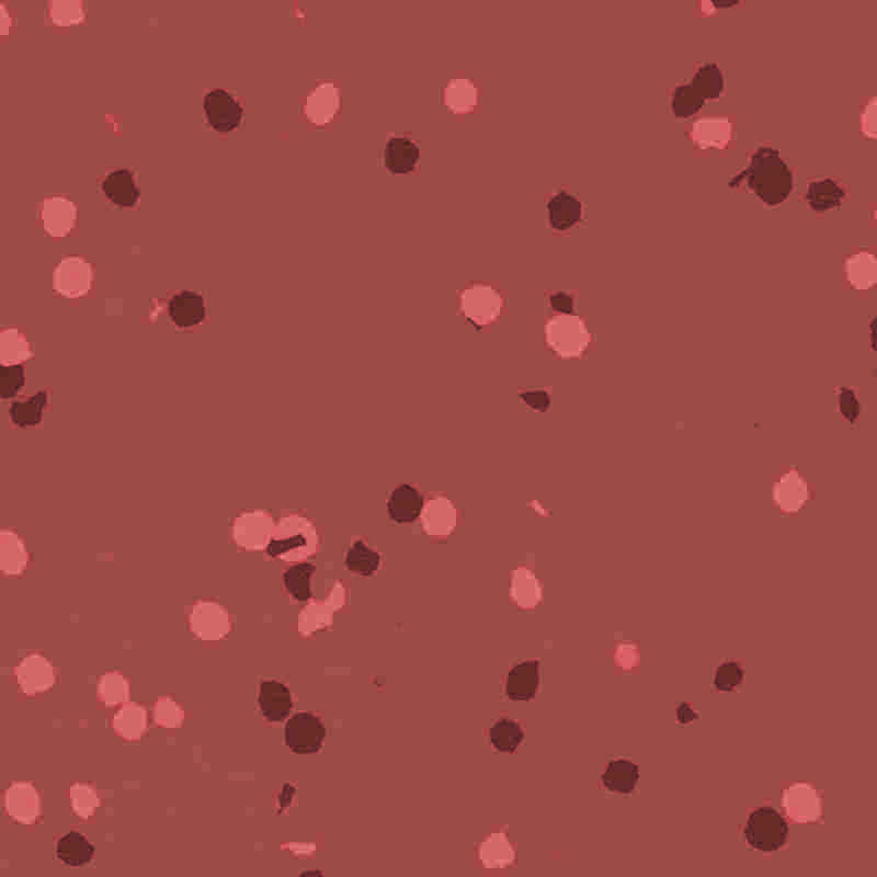 Revêtement de sol en caoutchouc et en plastique ignifuge et imperméable