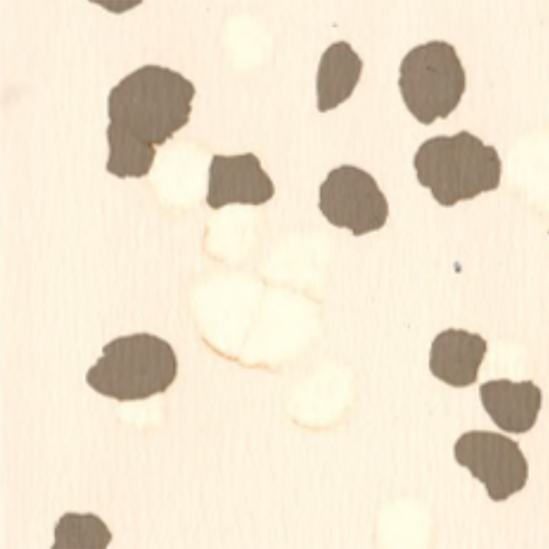 Revêtement de sol en caoutchouc antidérapant et résistant aux rayures