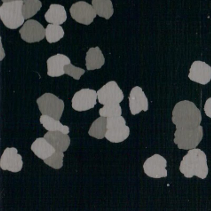 Revêtement de sol en caoutchouc antidérapant et résistant aux rayures