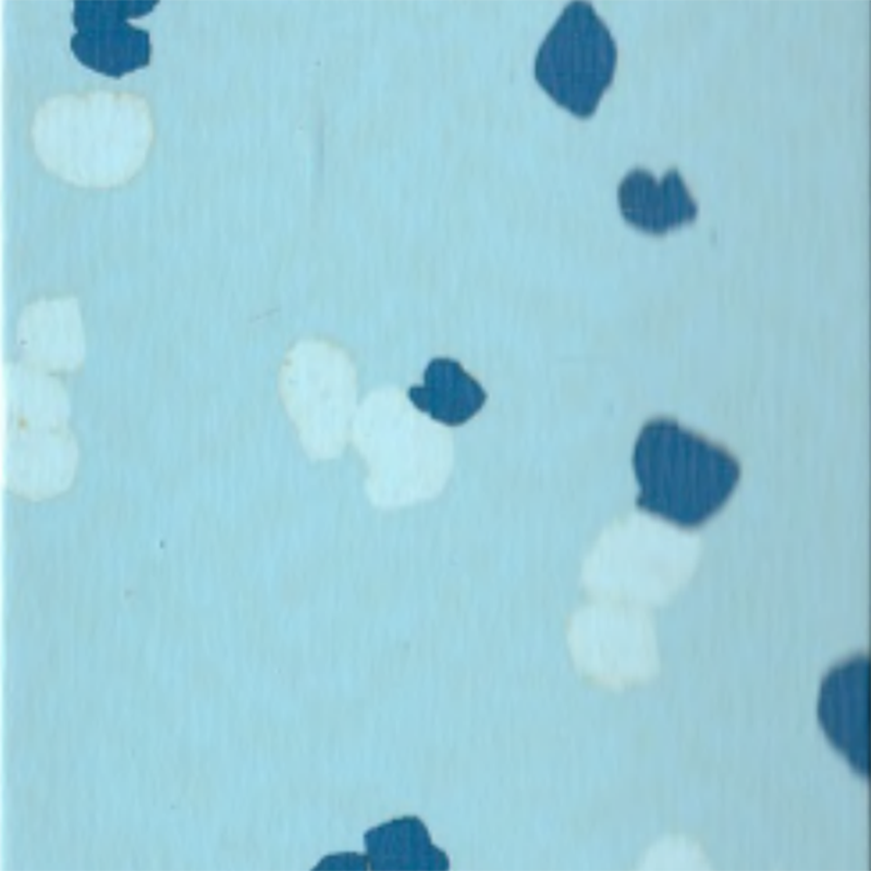 Revêtement de sol en caoutchouc antidérapant et résistant aux rayures